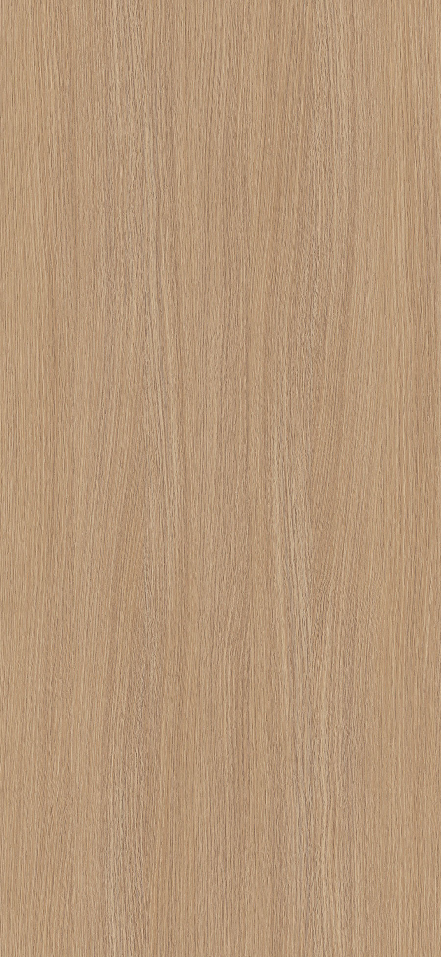 panel syncron velazquez 02