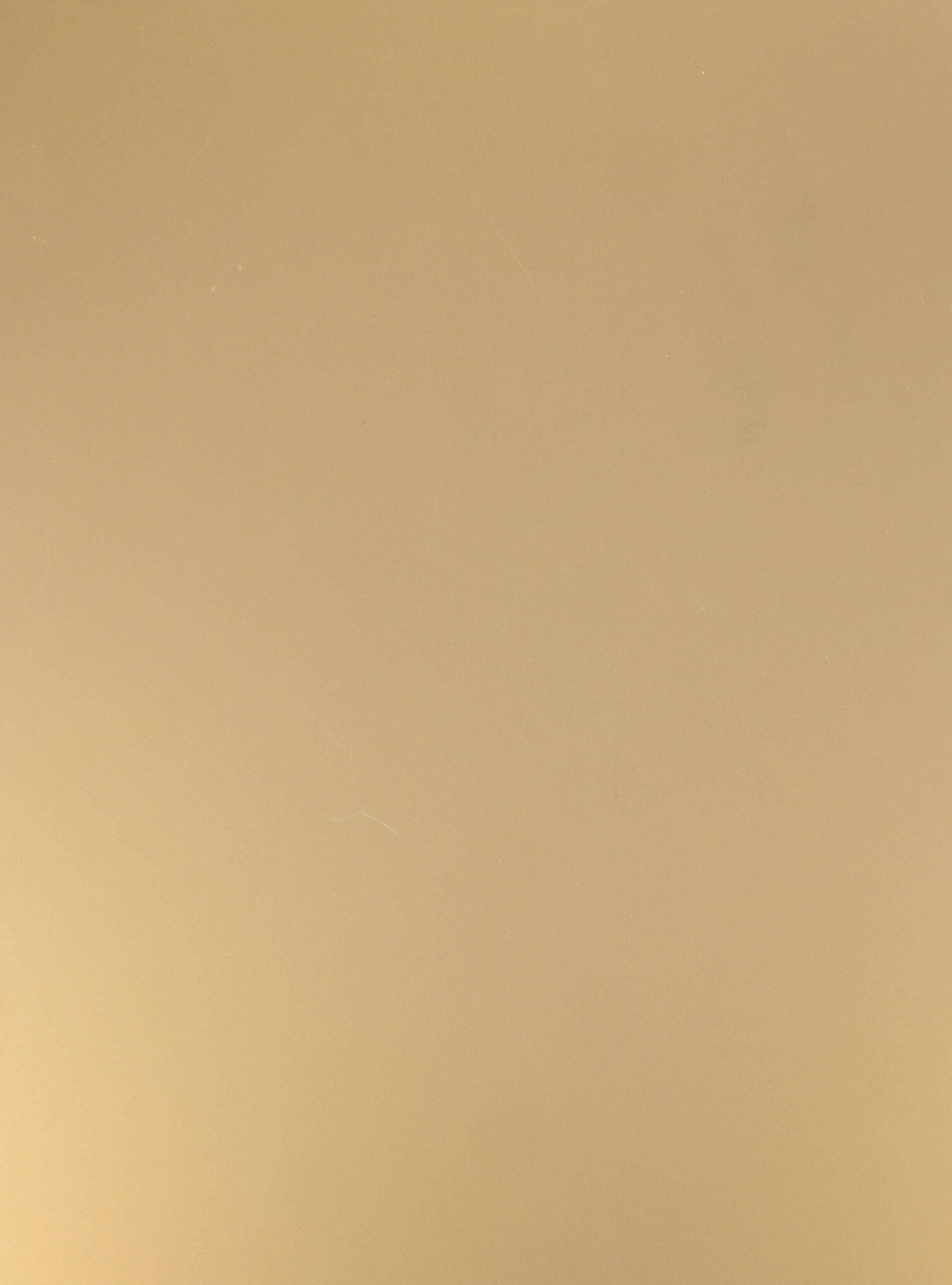 panel zenit metal plus light gold
